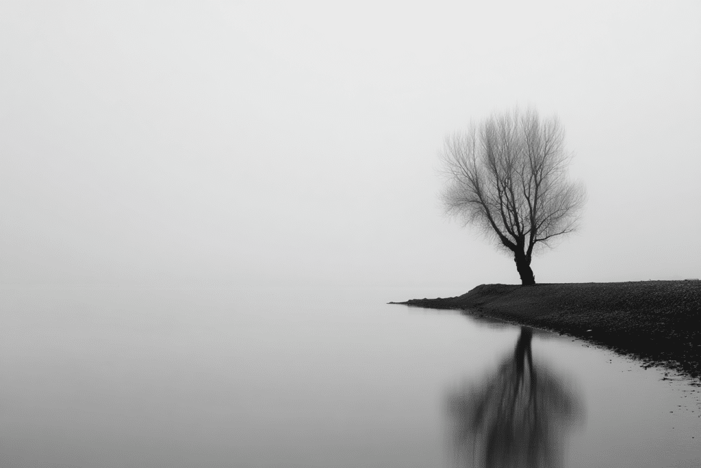 Minimalist Black Nature Photography